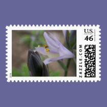 hosta bloom stamps