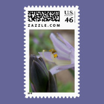 hosta bloom stamps