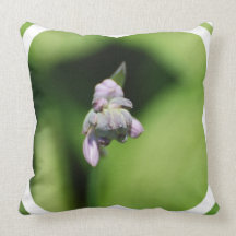 Hosta Buds  Pillow