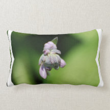Hosta Buds Pillow