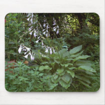Hosta “EarthDayContest2007”  mousepads