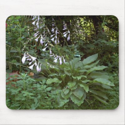 Hosta “EarthDayContest2007”  Mouse Pads by eelkat