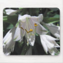 Hosta Flower mousepads by mlane53 Hosta Flower mousepads