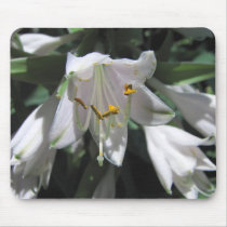 Hosta Flower mousepads by mlane53 Hosta Flower mousepads