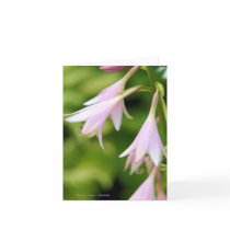 Hosta Flowers Notecard by rosewood_designs Hosta Flowers Notecard