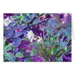 Hosta Heaven Card
