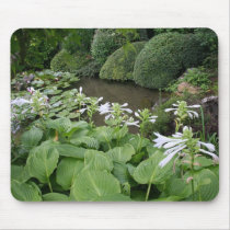 Hosta in a Zen Garden #2 Mouse Pads