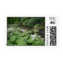 Hosta in a Zen Garden #2 Stamps