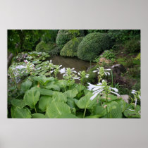 Hosta in a Zen Garden #2 Poster