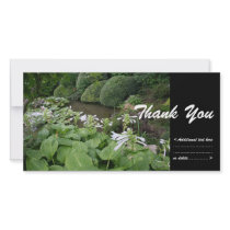 Hosta in a Zen Garden #2 - Thank You photo cards by PBsecretgarden Hosta in a Zen Garden #2 - Thank You photo cards