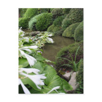 Hosta in a Zen Garden Post Cards