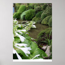 Hosta in a Zen Garden Print