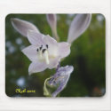 Hosta mousepads by leilani2406 Hosta mousepads