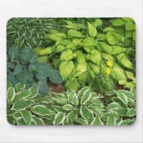 Hosta mousepads