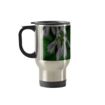 Hosta mugs