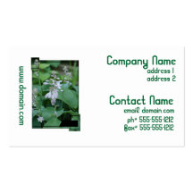 Hosta Plant Business Card