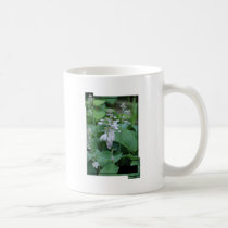 Hosta Plant  Coffee Mug mugs