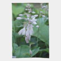 Hosta Plant Kitchen Towel