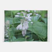 Hosta Plant Kitchen Towel