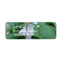 Hosta Plant Mailing Label