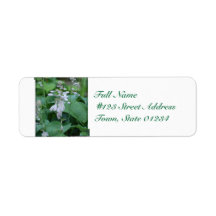 Hosta Plant Mailing Labels