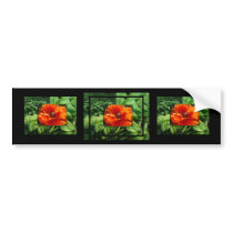 Hosta poppy collage bumper stickers by MAPASUE Hosta poppy collage bumper stickers