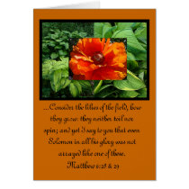 Hosta poppy collage cards