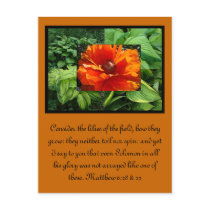 Hosta poppy collage postcards by MAPASUE Hosta poppy collage postcards
