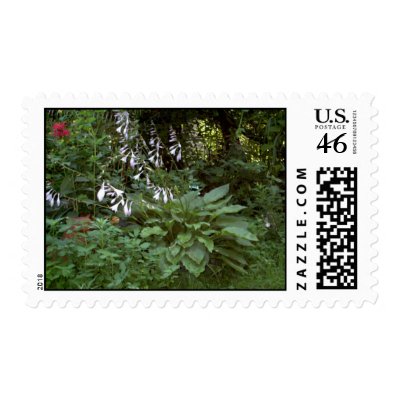 Hosta Postage by eelkat