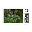 Hosta postage