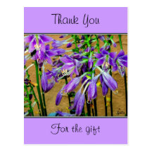 Hosta Purple Flower Postcard
