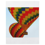 hot air ballon flyer