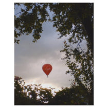Hot Air Balloon Flyer Design