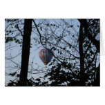 Hot air balloon Through Trees Cards