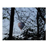Hot air balloon Through Trees Postcard
