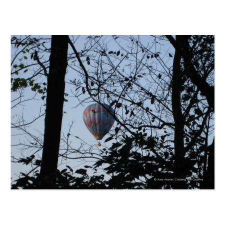 Hot air balloon Through Trees Postcard