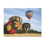 Hot Air Balloons near Wanaka, South Island, New