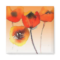 hot anemones magnets