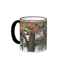 Hot Apple Cider! mugs