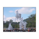 Hot Balloon Festival 1 Postcard