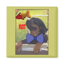 HOT BONE magnets by KABSANNIE HOT BONE magnets