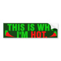 HOT BUMPER STICKER bumper stickers