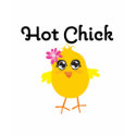 Hot Chick t-shirts