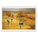 Hot Dog Beach cards by heatherlacroix Hot Dog Beach cards