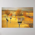 Hot Dog Beach posters
