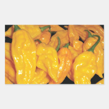 Hot Fatalii Chilli Pepper Rectangle Sticker