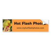 Hot Flash Photos bumper stickers by writer5619 Hot Flash Photos bumper stickers