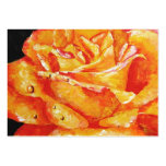 Hot Flashes (Rose) ACEO Art Trading Cards Business Card Templates