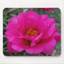 Hot for Pink Mousepad