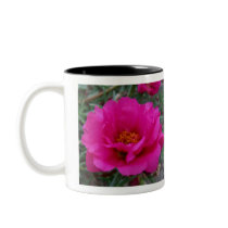 Hot for Pink Mug